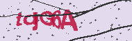 Codice captcha